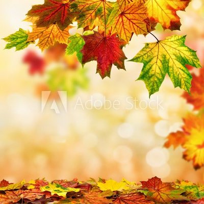 Piekna-kolorowa-jesien.jpg